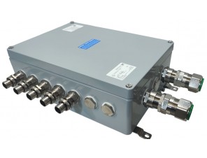 СКМ-15.233311-Ех іа-(60/2,5)bl-(2/2,5)-2(B)/25E1FX1RA5.....